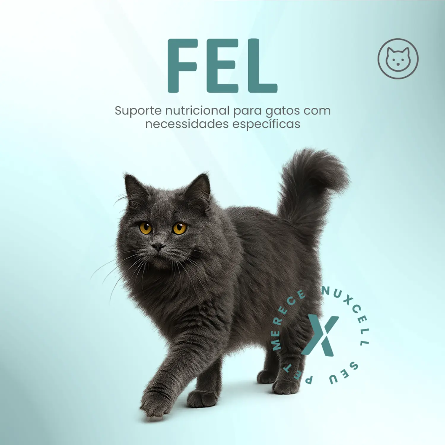 Suplemento Nuxcell Fel para Gatos